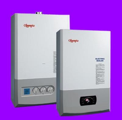 濟(jì)南淄博濱州壁掛式燃油燃?xì)庹婵斟仩t采暖供暖取暖熱水電鍋爐